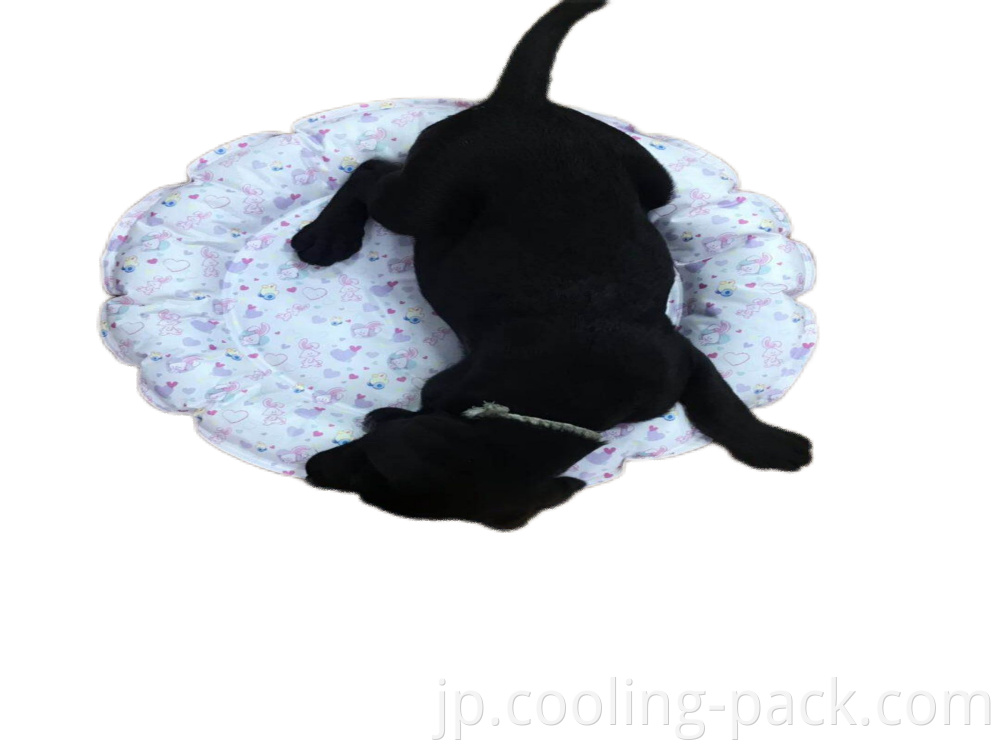 Cooling Pad8 Png